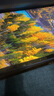 ALittleFlower適用華為matepad11.5S鋼化膜 2024款11.5S靈動款11.5英寸平板電腦貼膜保護(hù)膜耐磨抗指紋 曬單實(shí)拍圖