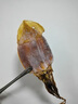 東上御品 山東 大魷魚干500g凈重4-5條 海產(chǎn)干貨 淡曬魷魚-源頭直發(fā) 曬單實拍圖