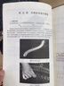 基本樂(lè )理通用教材+音樂(lè )理論基礎 李重光編著(zhù)基本樂(lè )理知識基礎教材 李重光基本樂(lè )理+音樂(lè )理論基礎 曬單實(shí)拍圖