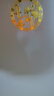 珍如意鯉魚蓮花圖衛(wèi)生間入戶門專用隱形貼化污為財荷花凈穢貼天官賜福貼 【好運連連】荷花貼_4張 曬單實拍圖