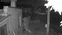 喬安雙攝1000萬攝像頭室外防水家用監(jiān)控?zé)o線wifi網(wǎng)絡(luò)全彩夜視監(jiān)控器360度無死角全景云臺(tái)旋轉(zhuǎn)手機(jī)遠(yuǎn)程 曬單實(shí)拍圖