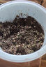 德沃多肥料太陽花種子DIY兒童趣味種植盆栽套裝學生植物觀察幼兒園迷你盆栽 曬單實拍圖