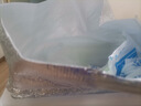 小金魚鮮肉餛飩云吞早餐鮮肉餛飩速凍餛飩水餃202g/袋 小金魚鮮肉餛飩202g*10袋 曬單實拍圖