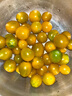 夏日陽(yáng)光小番茄黃色迷戀圣女果即食水果小柿子現摘現發(fā)減肥早餐 4斤 曬單實(shí)拍圖