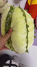 報恩榴蓮玩偶毛絨玩具可撕拉拆卸解壓抱枕公仔仿真水果生日禮物 榴蓮玩偶整個(gè)(果肉可拆卸)25cm 曬單實(shí)拍圖