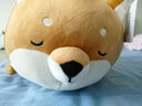 名創(chuàng)優(yōu)品（MINISO）柴犬系列毛絨公仔趴姿玩具娃娃抱枕睡覺室內(nèi)臥室辦公室生日禮物 曬單實(shí)拍圖
