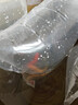 毛如意蝴蝶鯉魚球體短身大鰭長尾冷水魚錦鯉紅色觀賞魚活體 順豐 6-8CM 黑白黃紅各1條貴妃 曬單實拍圖