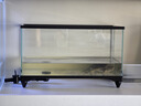 AMTRA TECHNIK德國安彩壁掛過濾器ex650魚缸過濾器烏龜?shù)退粌羲o音 EX650 龜缸版【內含濾材】濾材套餐 曬單實拍圖