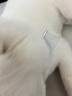 木允瑤【德國】貓咪開結(jié)專用梳毛器狗毛清理密齒針梳寵物狗狗直排鋼梳 小號排梳(一梳到底/輕松開結(jié)) 曬單實拍圖