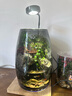青苔苔蘚植物微景觀(guān)生態(tài)瓶養魚(yú)室內桌面盆栽耐養流水成品套餐禮物 男旅行者有流水+定時(shí)燈USB插口 曬單實(shí)拍圖