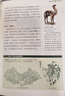 【當(dāng)當(dāng)正版】山海經(jīng) 白話全譯彩圖版 珍藏版 新版 快樂讀書吧 四年級(jí)上冊(cè) 推薦閱讀！裸脊線裝，180°平攤 曬單實(shí)拍圖