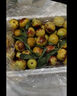 陜西大荔冬棗 現(xiàn)貨速發(fā) 新鮮水果脆甜棗子搶鮮 帶箱2斤 凈重1.8斤 單果12g+ 曬單實(shí)拍圖