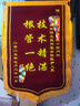瑞耀錦旗定制錦旗定做感謝醫(yī)生老師定制贈(zèng)送幼兒園教師物業(yè)月嫂生日訂做美容院高檔植絨裝修旌旗制作 發(fā)泡字（精美小龍須）70*110cm 曬單實(shí)拍圖