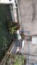 心諾萌寵心諾萌寵周轉(zhuǎn)箱過濾箱魚池魚缸過濾增氧凈水循環(huán)設(shè)備滴流過濾器 帶45瓦底吸水泵+9根細(xì)菌屋+3斤帶網(wǎng)袋濾材 灰色3層 曬單實(shí)拍圖