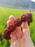 Vana金剛菩提子手串男手鏈龍鱗五瓣文玩七夕情人節(jié)禮物送男朋友老公 金剛菩提手串*京倉直發(fā)/品牌禮盒 曬單實(shí)拍圖