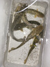 颯望德國戶(hù)外釣魚(yú)專(zhuān)用增氧泵小型魚(yú)缸氧氣泵養魚(yú)超靜音家用無(wú)聲大氣量 德系精工【至尊級】198W雙孔98800mA 曬單實(shí)拍圖
