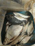 劉志強(qiáng)強(qiáng)拉野釣短子線雙鉤成品綁好袖鉤進(jìn)口防纏繞超靈敏釣魚裝備 【金袖有刺 】28cm（鉤5線1.0） 曬單實(shí)拍圖
