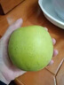 傾睦正宗安徽碭山酥梨【 順豐】脆甜無渣 當(dāng)季新鮮現(xiàn)摘現(xiàn)發(fā)孕婦水果梨 4.5-5斤精品【 6-9個(gè)果】 曬單實(shí)拍圖