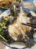 【大只】鮮活大多寶魚1條（600-800g） 曬單實拍圖