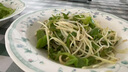 京嚴智造家用豆芽機三層大容量自動灑水增壓培育機發(fā)豆芽神器多功能綠豆黃豆芽苗發(fā)芽機泡豆生芽 【四季可用+三層大容量+遮光罩】綠色 曬單實拍圖