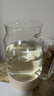 小熊（Bear）家用冷水壺高硼硅玻璃杯防燙硅膠底1.8L大容量涼水壺杯子廚房好物 曬單實(shí)拍圖
