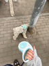 福萊希德國進(jìn)口狗狗自動(dòng)伸縮牽引繩遛狗神器大中小犬網(wǎng)紅款 外星人系列 天空藍 S 5米 15KG 曬單實(shí)拍圖