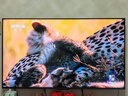 海信電視E7N Pro 55英寸信芯芯片H6 U+Mini LED黑曜屏 300Hz高刷AI智能55E7N-PRO國家補(bǔ)貼20% 曬單實(shí)拍圖