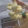 周小貝榴蓮蜜新鮮一整個(gè)熱帶水果海南網(wǎng)紅巴掌小榴蓮蜜密迷你濕苞順豐 1.8至2.2斤（1-2個(gè)果）基本款 曬單實(shí)拍圖