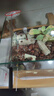 高清熱彎浮法透明玻璃魚(yú)缸客廳家用造景裝飾生態(tài)中小型生態(tài)金魚(yú)缸 熱彎魚(yú)缸-簡(jiǎn)易升級套餐 長(cháng)35*寬20*高22cm 曬單實(shí)拍圖