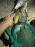 獵途潛水超強(qiáng)光手電P90大光杯遠(yuǎn)射深防海水海捉魚水下蝦蟹照明作業(yè)燈 p90 白光 標(biāo)準(zhǔn)套餐三電雙充 曬單實(shí)拍圖