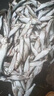 淼尊筏釣專(zhuān)用pe線(xiàn)十米一色一米一色標主線(xiàn)8編正品進(jìn)口大馬力魚(yú)線(xiàn)新款 100米筏釣線(xiàn)&十米一色順滑不漲號 0.8號 曬單實(shí)拍圖