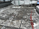 全新防鯊器一體桿潛水桿 全新升級(jí)防鯊器潛水桿一體桿驅(qū)鯊桿全套 4D加強(qiáng)款全套1.2米 曬單實(shí)拍圖