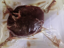 澳爸廚房原切牛排谷飼100天板腱整條厚切牛肉進(jìn)口眼肉西冷雪花生鮮牛扒 澳洲M2-3板腱4斤（12-16片/2cm） 曬單實(shí)拍圖
