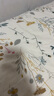 安睡寶（SOMERELLE）100%純棉床單單件全棉被單230x250cm 宿舍家用雙人1.5-1.8米床 曬單實(shí)拍圖