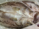 鮮京采三去海鱸魚3斤/3條 生鮮魚類 白蕉鱸魚地標(biāo) 無(wú)冰凈重3斤 源頭直發(fā) 曬單實(shí)拍圖