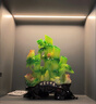 竹子擺件財(cái)富節(jié)節(jié)高店鋪開業(yè)新屋入伙喬遷禮物家居客廳玄關(guān)裝飾品 財(cái)富節(jié)節(jié)高竹子 曬單實(shí)拍圖