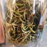 北京同仁堂腎精草長(cháng)白山可搭野生特級中藥材泡水喝純正腎精草茶嗷嗷叫男性 【北京同仁堂-官方正品】吃的放心 精選飽滿(mǎn)無(wú)硫腎精草【1瓶】原價(jià)款無(wú)優(yōu)惠 曬單實(shí)拍圖