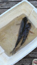 沃鼎王者神劍線組魚線成品主線釣魚大物線組 7.2米6號【兩卷裝】 曬單實拍圖