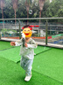 安踏兒童涼鞋嬰童鞋2025年夏季嬰兒學(xué)步鞋男童沙灘鞋女童寶寶機能鞋子 【男寶】象牙白/正藍0067-1 25 碼 曬單實拍圖