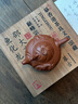 紫來(lái)順宜興原礦朱泥魚(yú)化龍壺純?nèi)止ぷ仙皦丶矣霉Ψ虿杈呒矣酶叨伺莶鑹?魚(yú)化龍 220ml 茶壺 曬單實(shí)拍圖