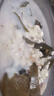 七環(huán)牧場漫養(yǎng)土豬帶肉棒骨 帶骨髓豬骨頭 大棒骨 大骨頭 豬棒骨 豬肉生鮮 帶肉豬棒骨2斤 曬單實拍圖