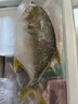 翔泰海南深海金鯧魚700g 2條 燒烤 火鍋 生鮮魚類 BAP認(rèn)證 海鮮水產(chǎn) 曬單實(shí)拍圖
