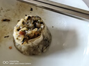 七鮮私廚 鮮美肉包780g 12只 速食早餐包子 速凍半成品 曬單實(shí)拍圖