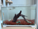 百因美（BIOZYM）魚(yú)缸造景水族箱底砂仿真造景水草假山沉木小魚(yú)缸造景套餐 一根沉木套餐 曬單實(shí)拍圖