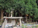 Naturehike挪客屋脊13自動(dòng)速開(kāi)帳篷兩室一廳戶外露營(yíng)防雨水防曬野營(yíng)自駕 曬單實(shí)拍圖