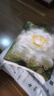 babycare金山茶花紙尿褲M50片(6-11kg)嬰兒尿不濕超薄透氣新生柔花苞褲 曬單實(shí)拍圖