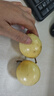 京覓 福建黃金百香果欽蜜9號 新鮮水果生鮮 3斤(單果60-70g) 源頭直發(fā) 曬單實拍圖