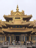 米家小米 防藍(lán)光眼鏡Pro平光無度數(shù)防輻射 手機(jī)電腦護(hù)目鏡 圓框 曬單實(shí)拍圖