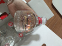 酒鬼酒 自飲小酒 馥郁香型 高度白酒 糧食酒【父親節(jié)禮物】 52度 168mL 6瓶 三兩三 曬單實拍圖