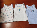 頂瓜瓜兒童背心夏季95%純棉薄款男童寶寶小孩男孩大童內穿運動(dòng)打底背心 逃跑恐龍3件裝 130 (建議身高120-130cm) 曬單實(shí)拍圖